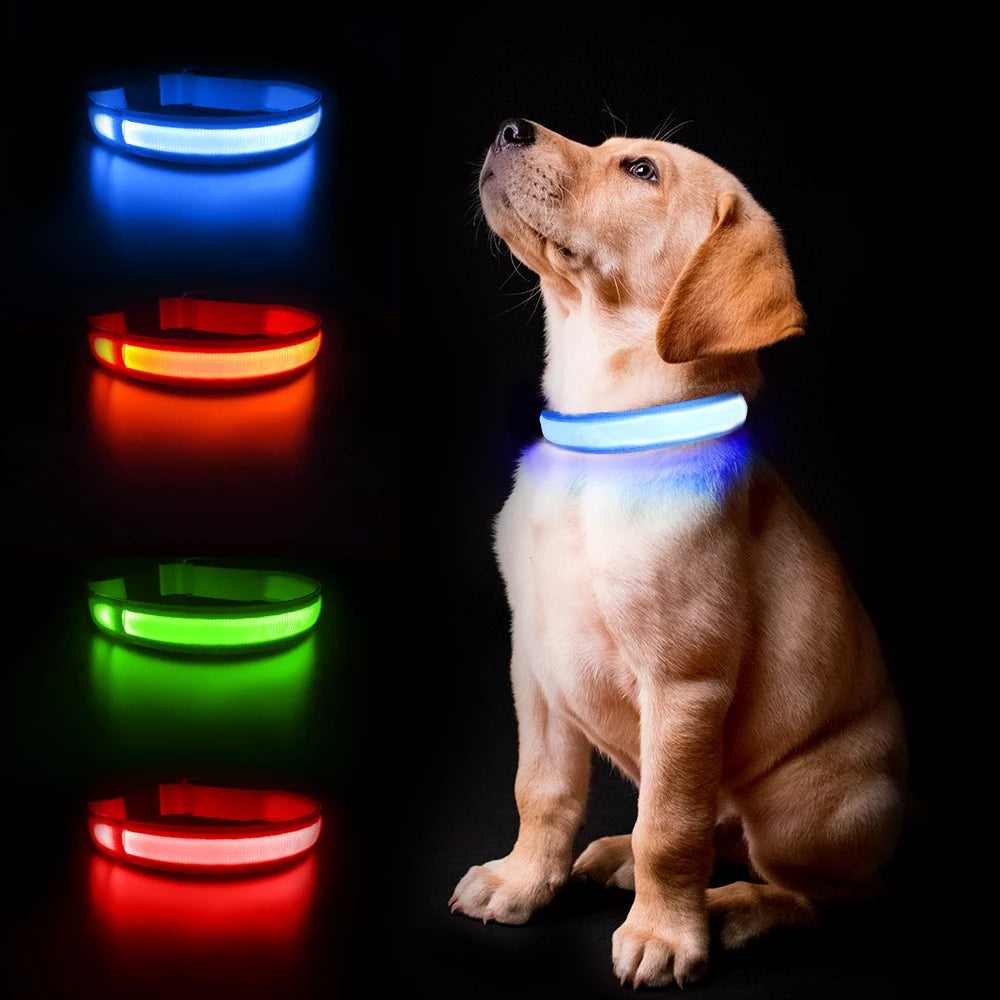 MASBRILL Dog Collar Luminous Pet Supplies Dog Collar Waterpoof Safety Collars dropship No Logo