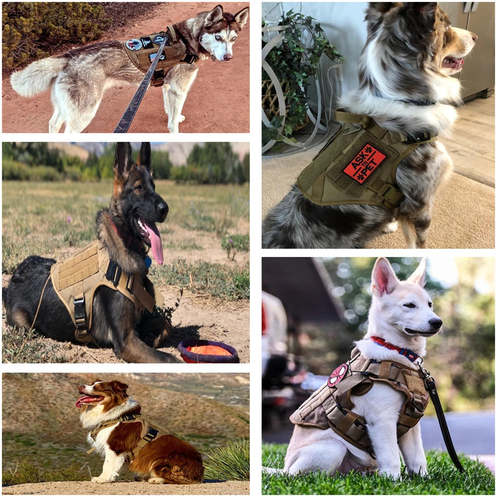 Military Large Dog Harness Collar Leash Bags Patches