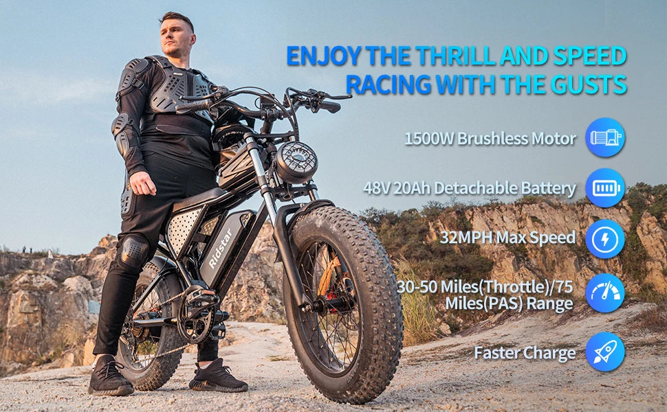 Electric Bike for Adults,30MPH,48V 20AH,Battery