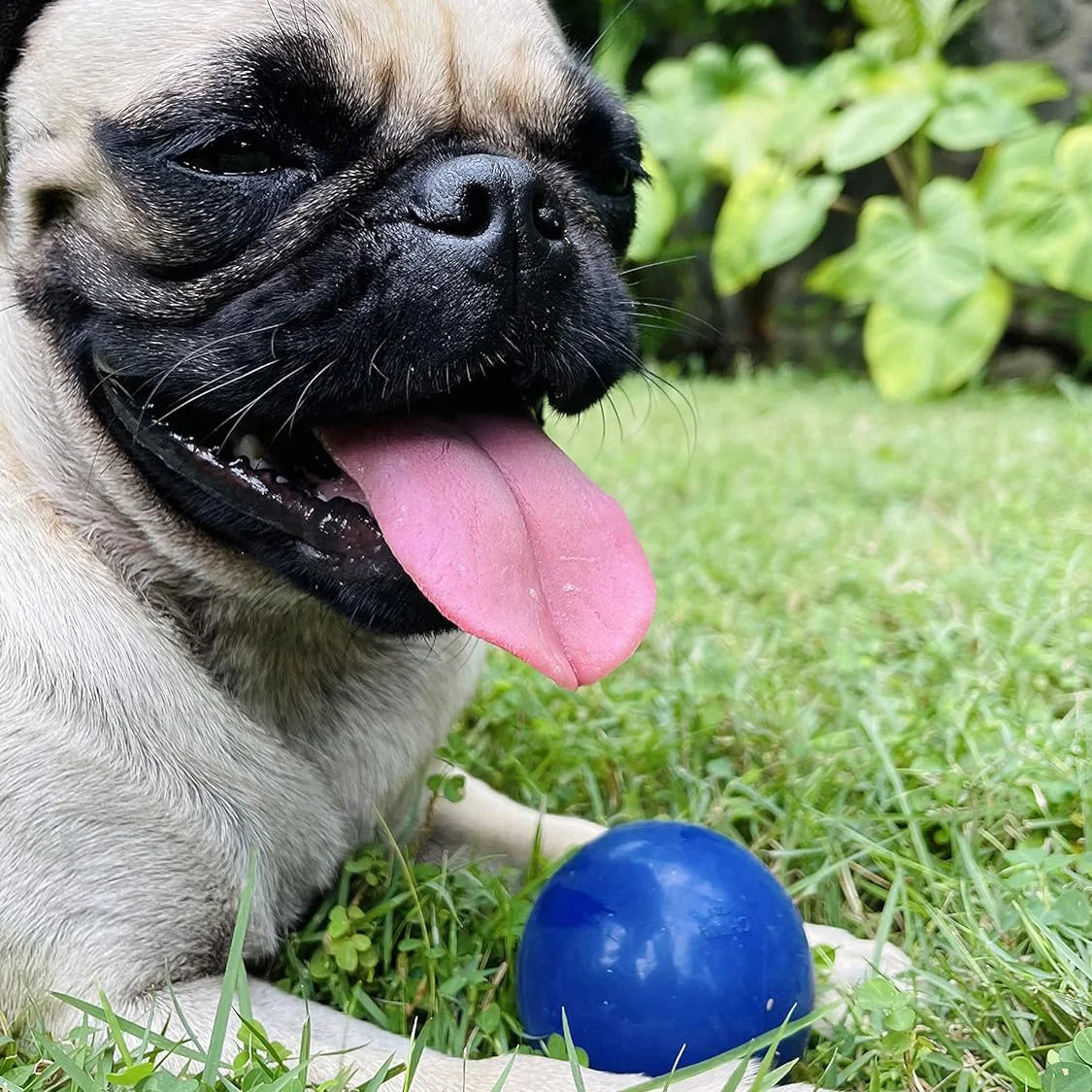 SuperChewy Tough Dog Ball Toy Strong Natural Rubber Great Fetch Toy