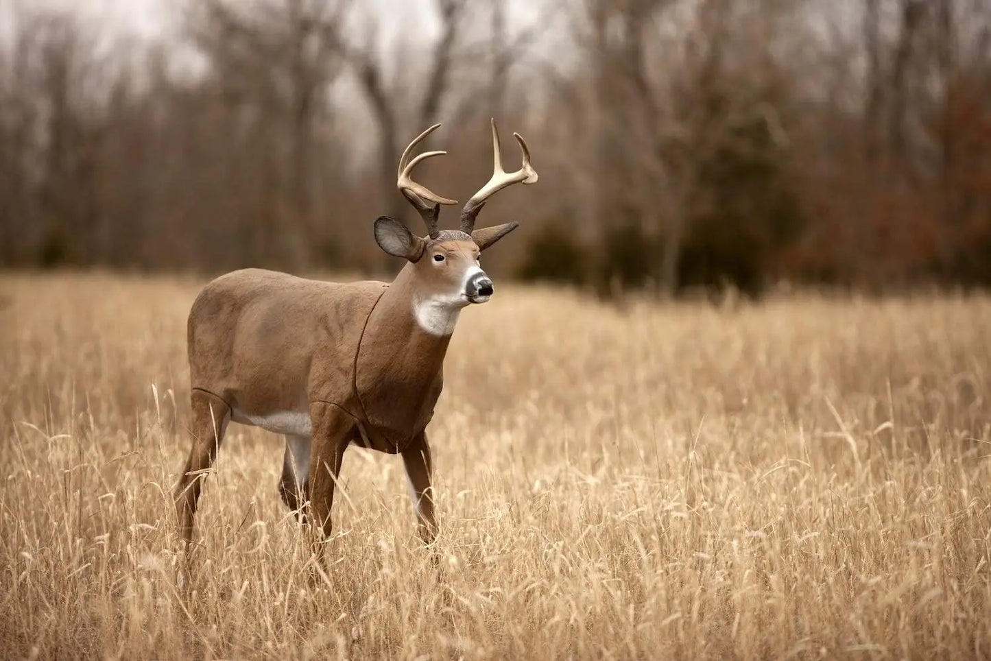 Boss Buck - Masters Series Deer Decoy