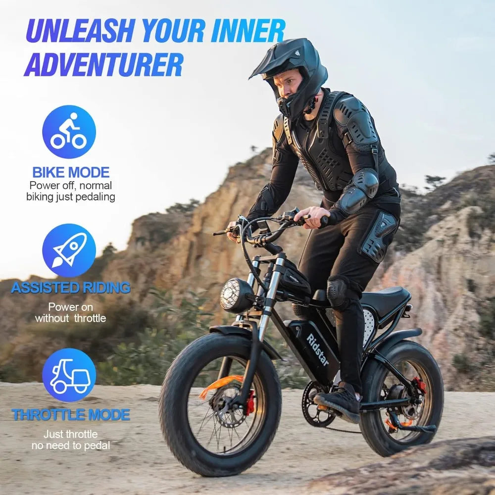 Electric Bike for Adults,30MPH,48V 20AH,Battery