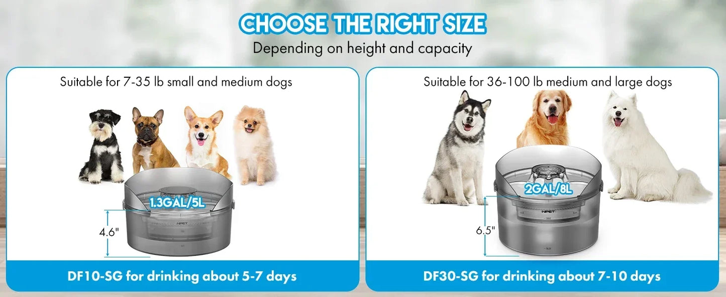 NPET Dog Water Fountain, 2 Gallon