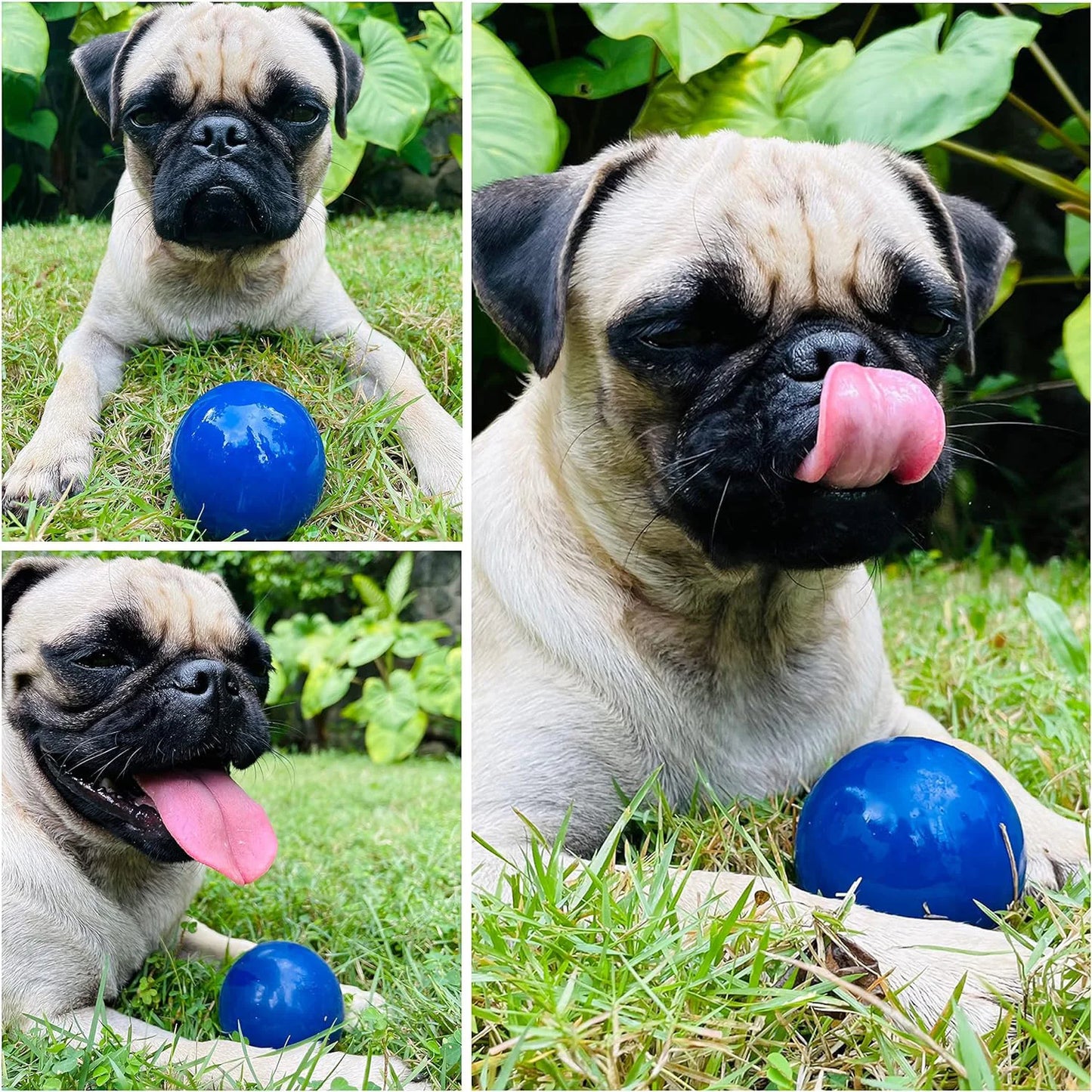 SuperChewy Tough Dog Ball Toy Strong Natural Rubber Great Fetch Toy