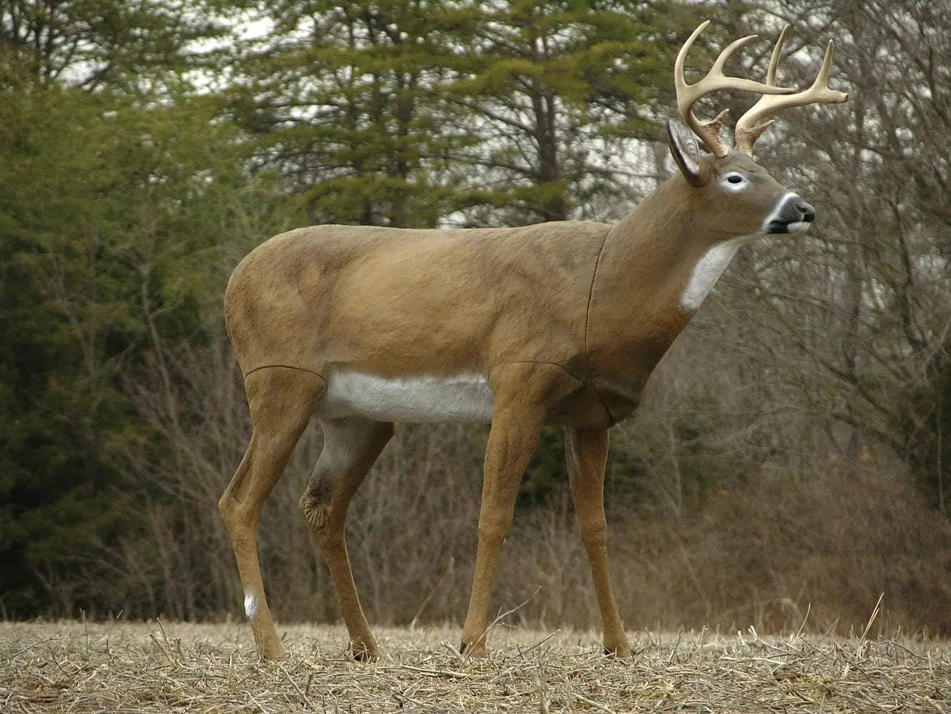 Boss Buck - Masters Series Deer Decoy