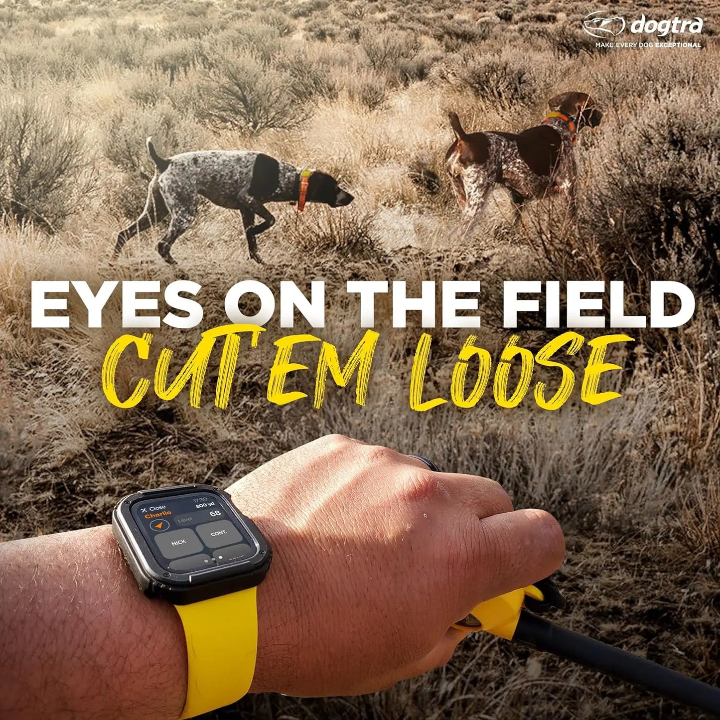 GPS Dog Training Collar with Remote, 9 Mile Range