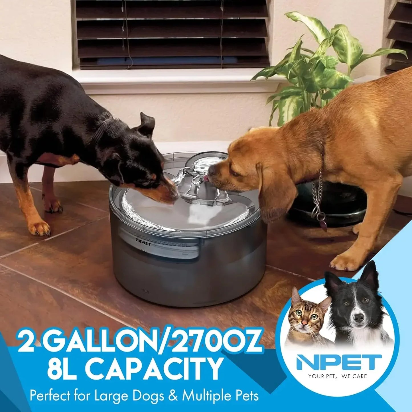 NPET Dog Water Fountain, 2 Gallon