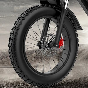 Electric Bike for Adults,30MPH,48V 20AH,Battery