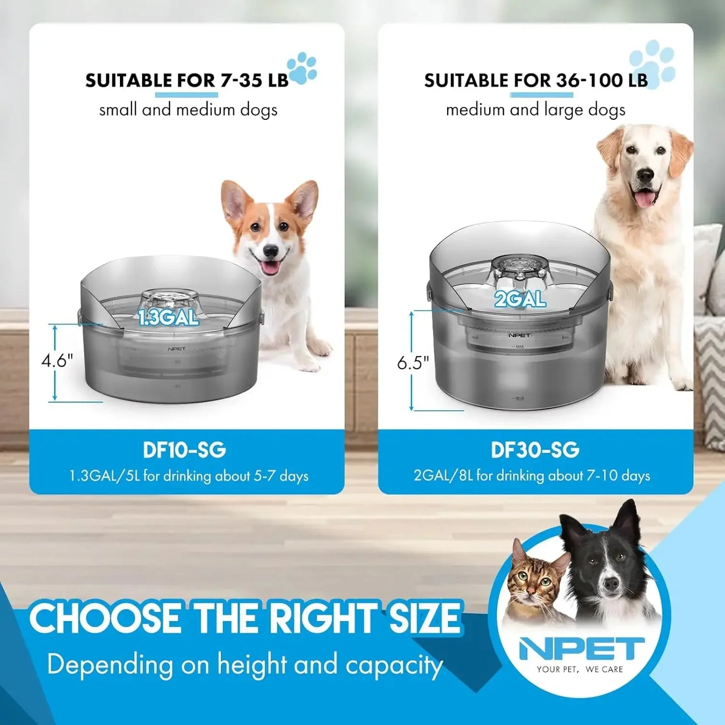 NPET Dog Water Fountain, 2 Gallon