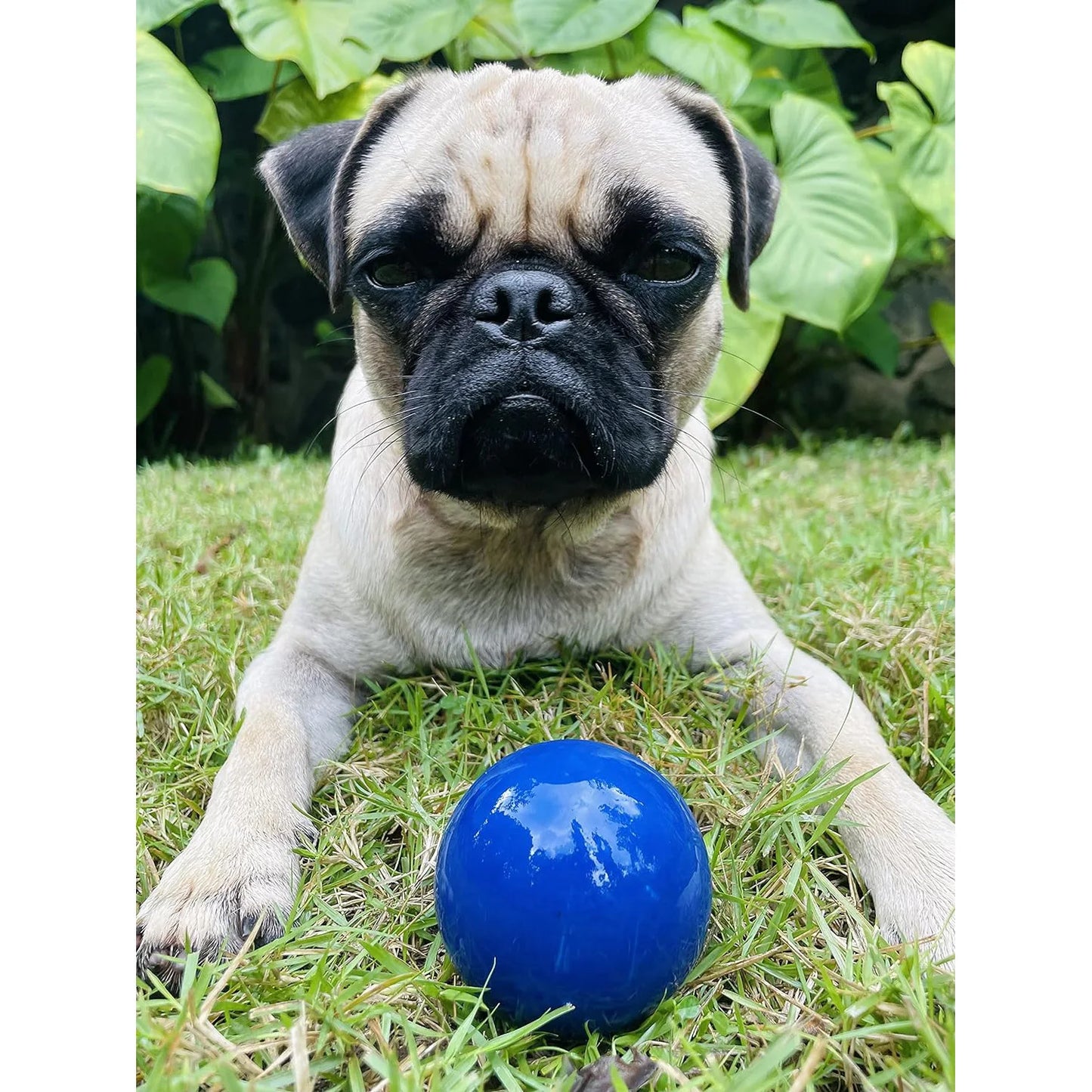 SuperChewy Tough Dog Ball Toy Strong Natural Rubber Great Fetch Toy