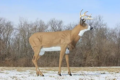 Boss Buck - Masters Series Deer Decoy