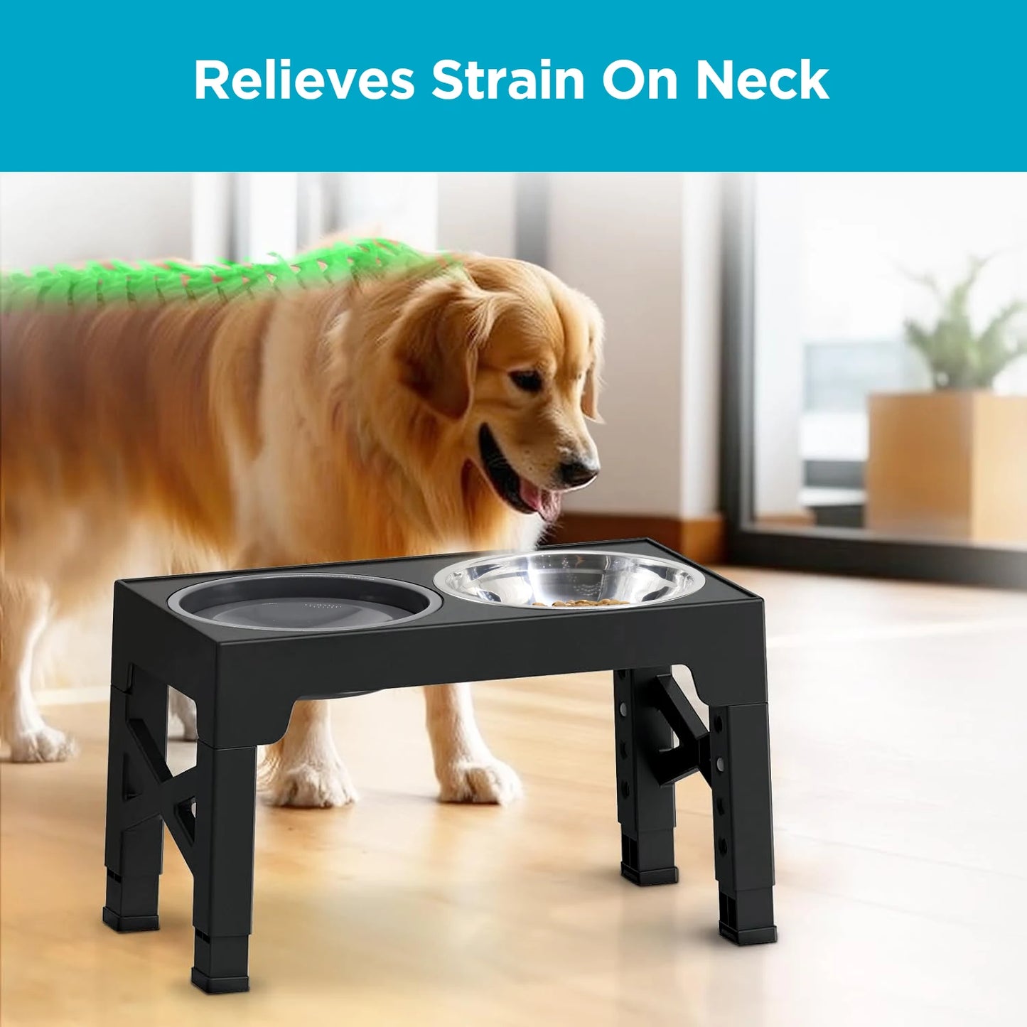 5 Adjustable Heights Raised Dog Bowl Stand with 1 Stainless Steel Food & Dog Water Bowl,