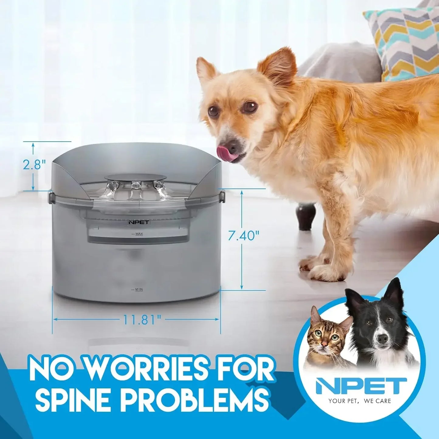 NPET Dog Water Fountain, 2 Gallon