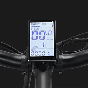 Electric Bike for Adults,30MPH,48V 20AH,Battery