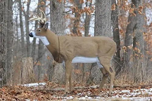 Boss Buck - Masters Series Deer Decoy