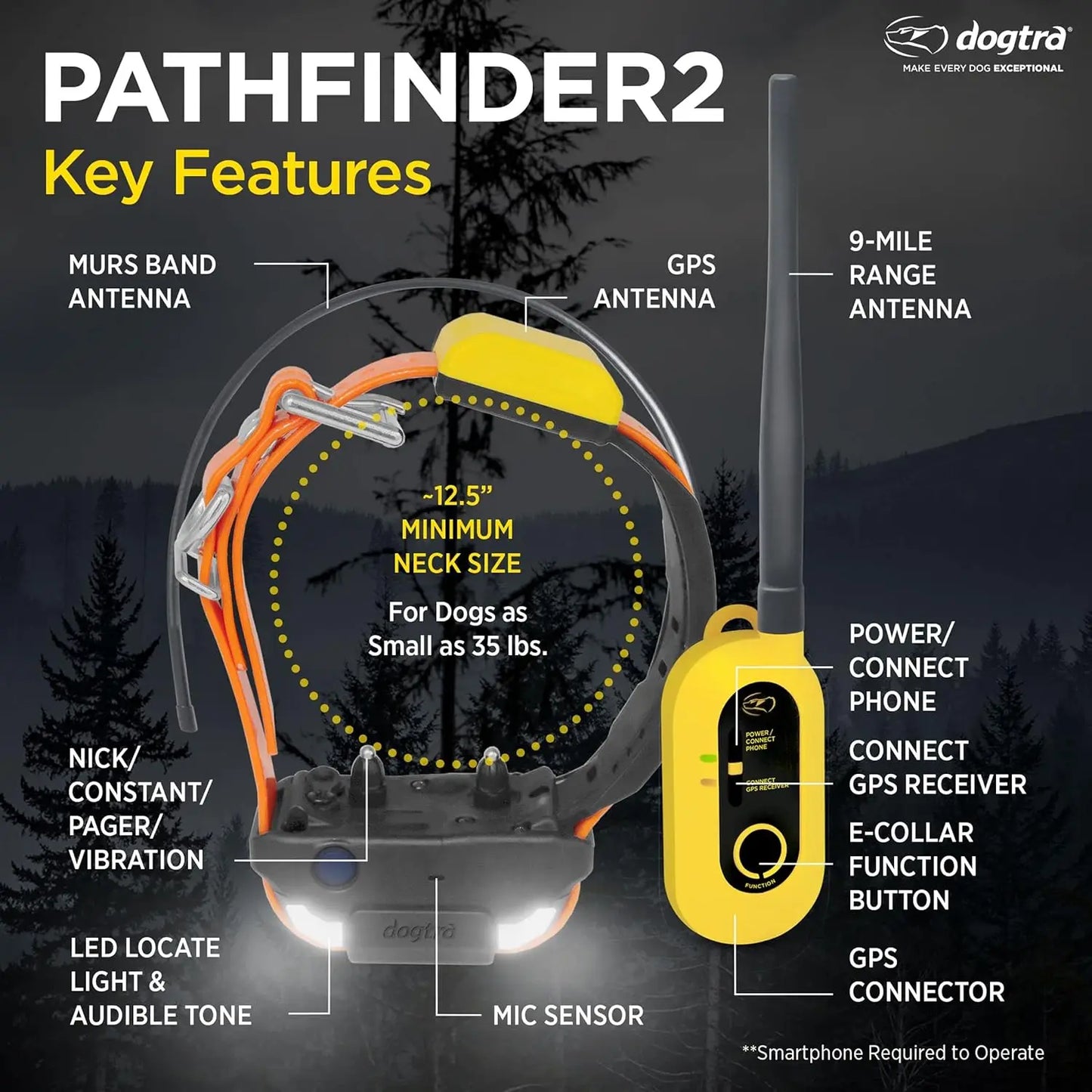 GPS Dog Training Collar with Remote, 9 Mile Range