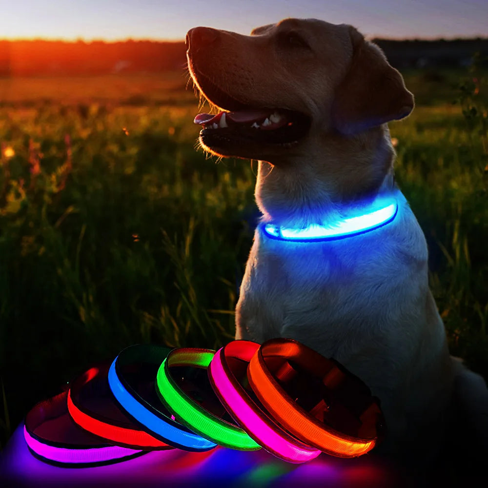 MASBRILL Dog Collar Luminous Pet Supplies Dog Collar Waterpoof Safety Collars dropship No Logo
