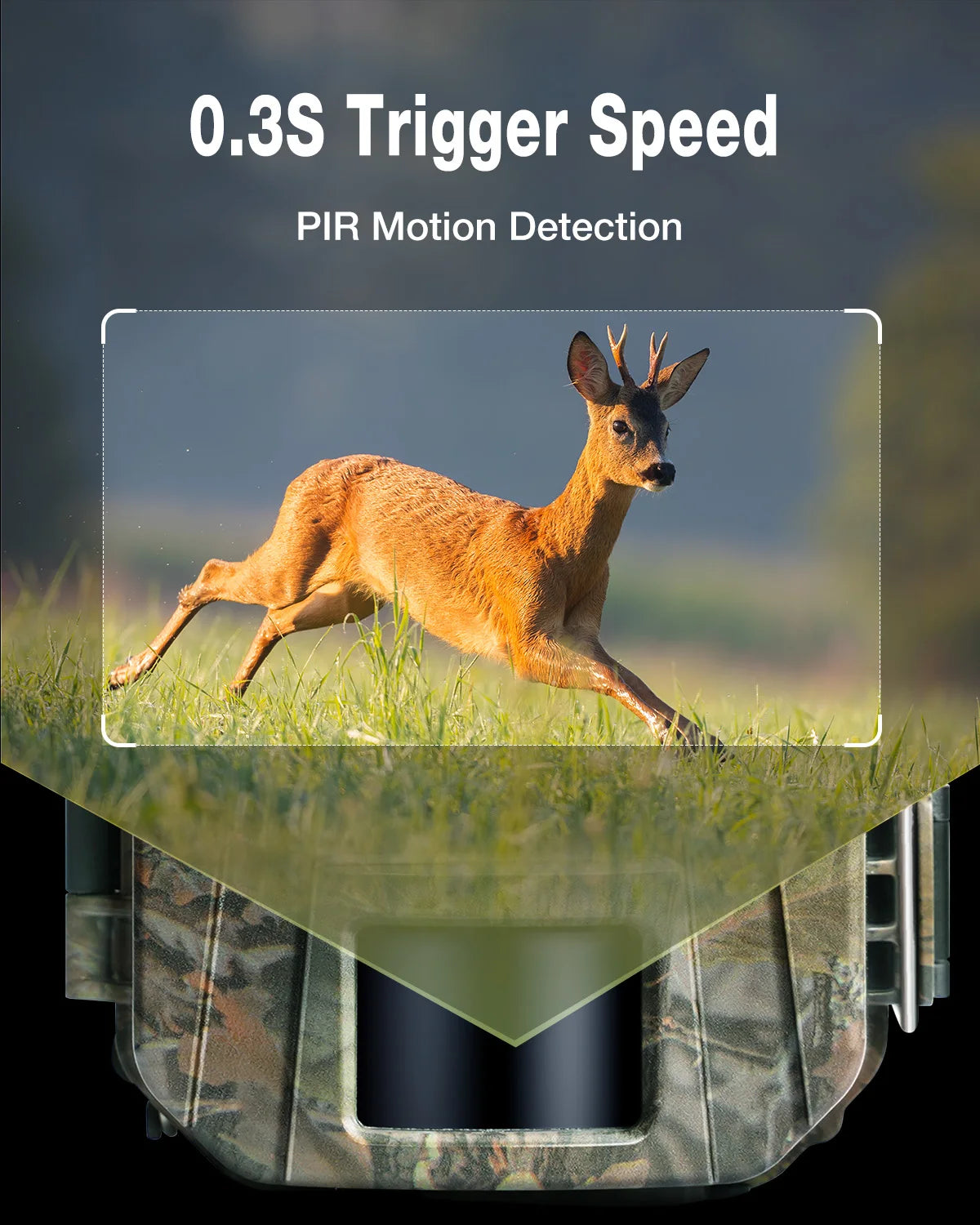 apeman H55 Trail Camera