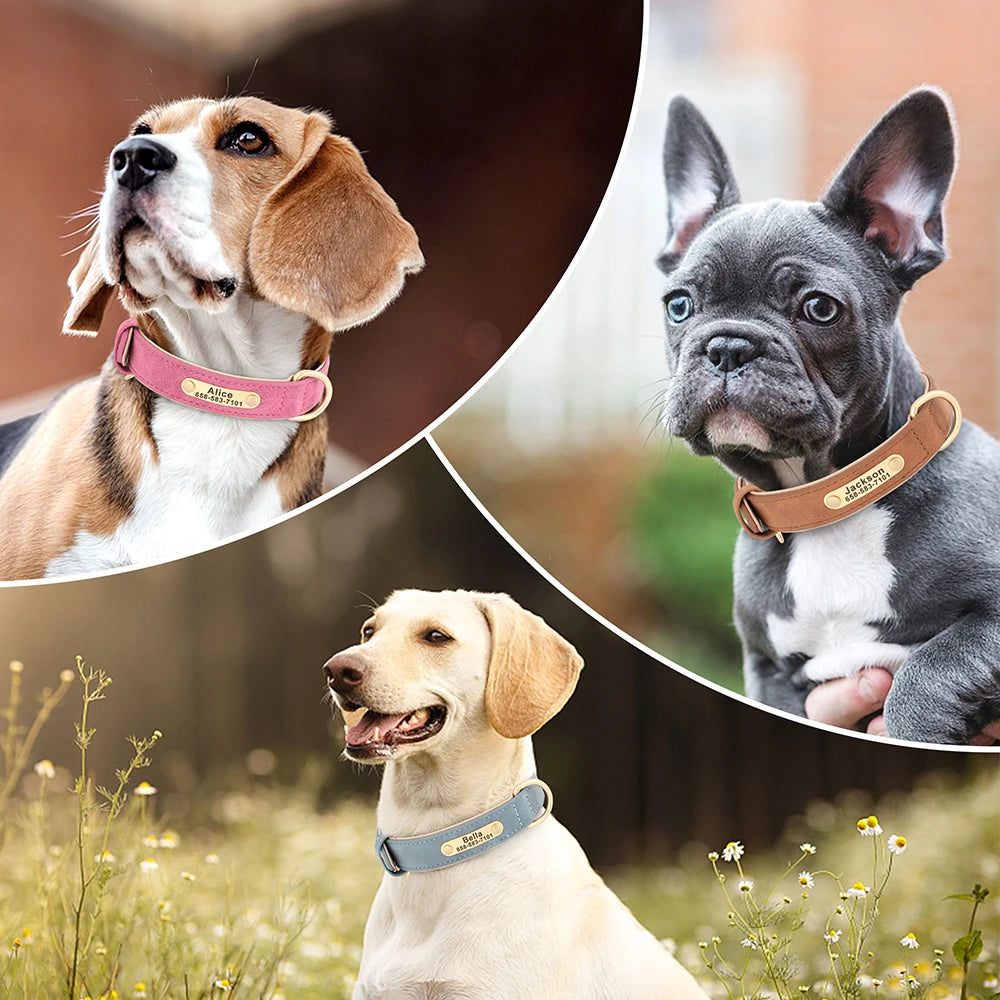 New Soft Padded Personalized PU Leather Dog Collar with Free Engraved ID