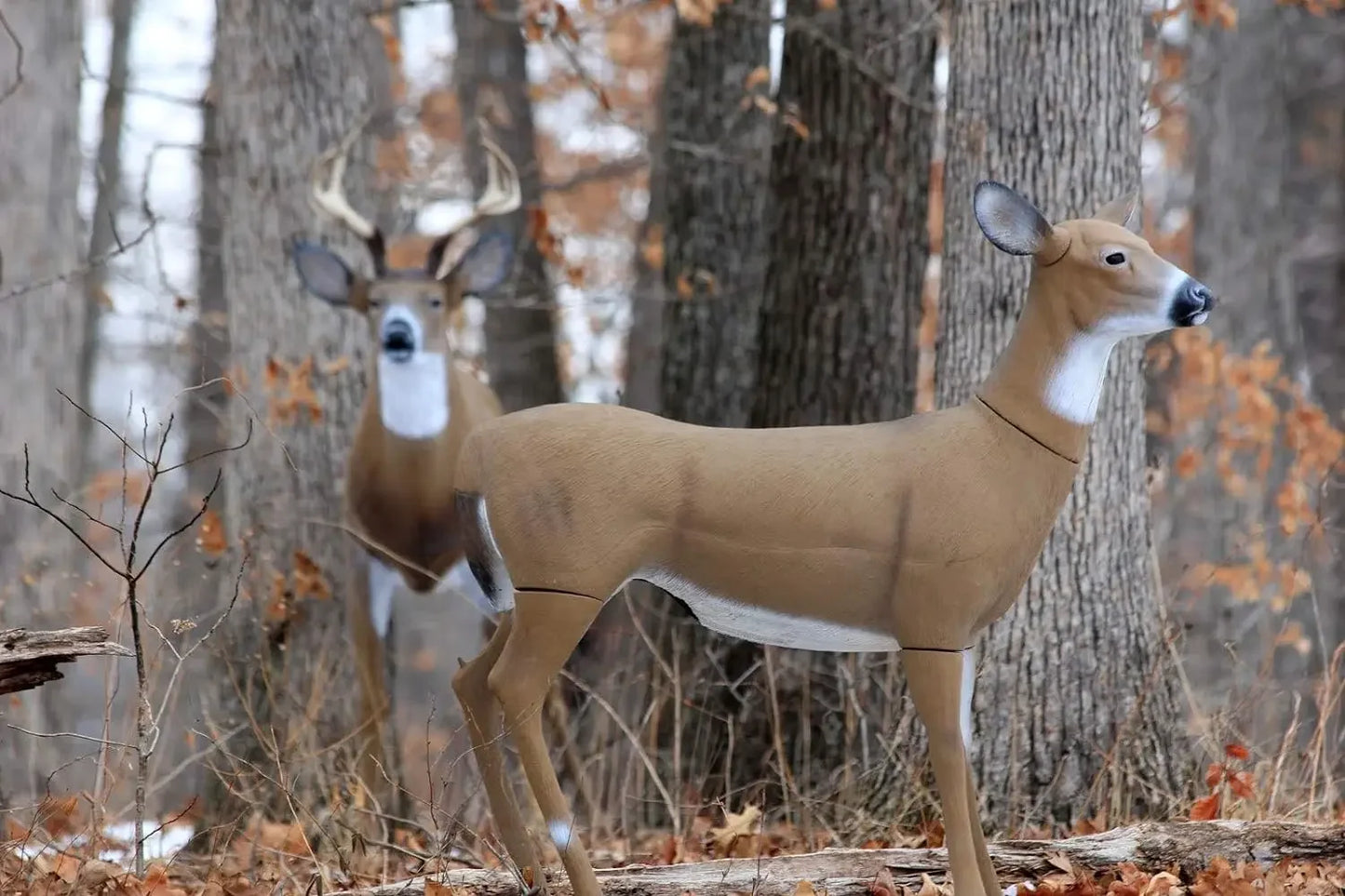 Outdoors Masters Series Deer Decoy