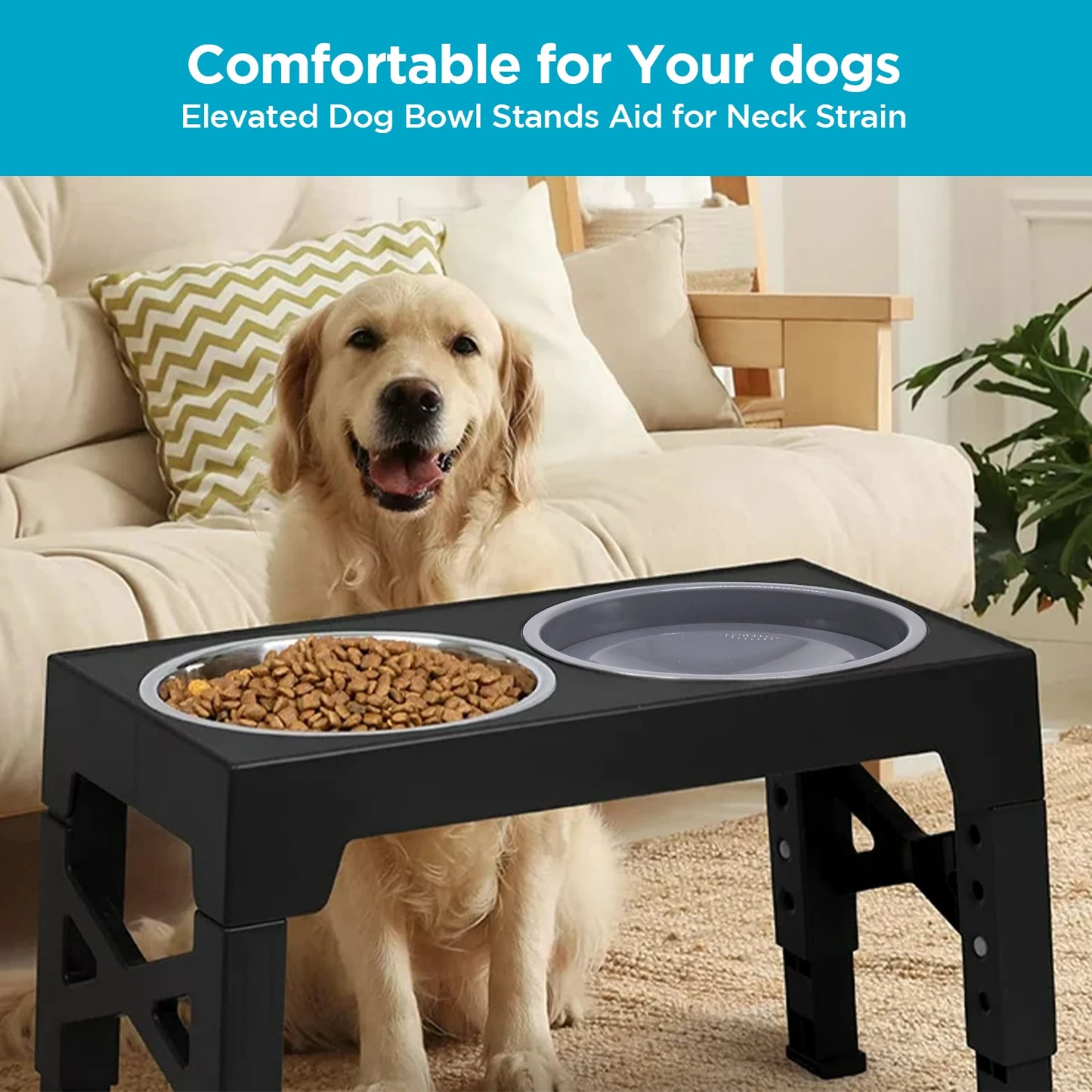 5 Adjustable Heights Raised Dog Bowl Stand with 1 Stainless Steel Food & Dog Water Bowl,