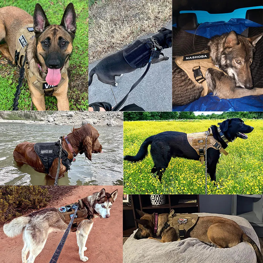Military Large Dog Harness Collar Leash Bags Patches