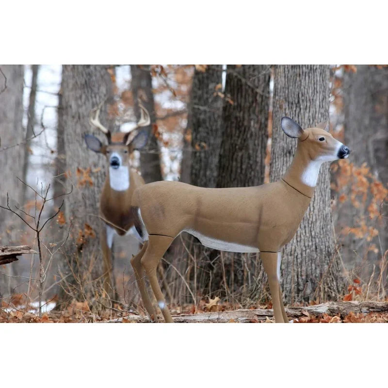 Outdoors Masters Series Deer Decoy