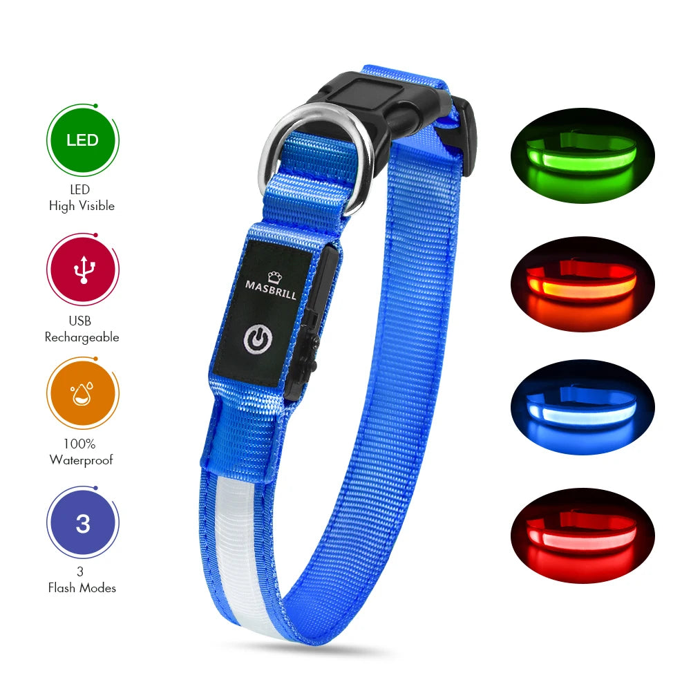 MASBRILL Dog Collar Luminous Pet Supplies Dog Collar Waterpoof Safety Collars dropship No Logo