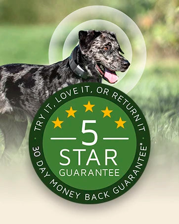 GPS Dog Fence, App Based Wireless Dog Fence Collar, Waterproof, Accurate & Reliable GPS Dog Fence