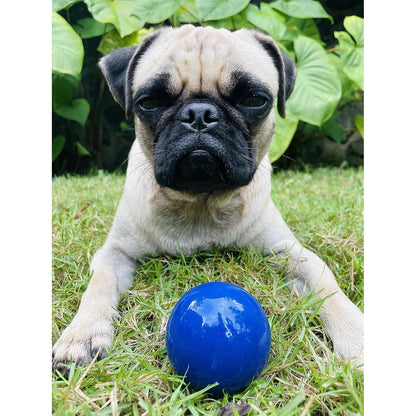 SuperChewy Tough Dog Ball Toy Strong Natural Rubber Great Fetch Toy