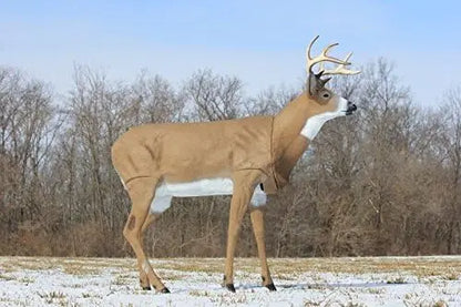 Boss Buck - Masters Series Deer Decoy