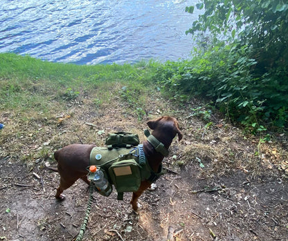 Military Large Dog Harness Collar Leash Bags Patches