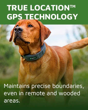 GPS Dog Fence, App Based Wireless Dog Fence Collar, Waterproof, Accurate & Reliable GPS Dog Fence