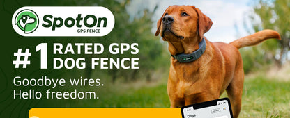 GPS Dog Fence, App Based Wireless Dog Fence Collar, Waterproof, Accurate & Reliable GPS Dog Fence