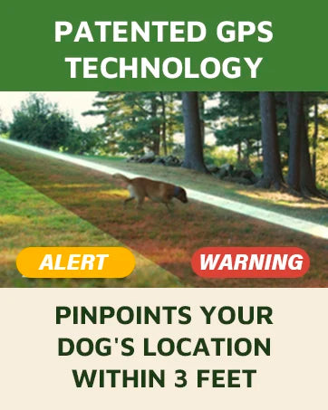 GPS Dog Fence, App Based Wireless Dog Fence Collar, Waterproof, Accurate & Reliable GPS Dog Fence