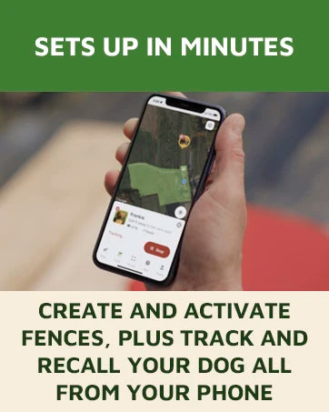 GPS Dog Fence, App Based Wireless Dog Fence Collar, Waterproof, Accurate & Reliable GPS Dog Fence