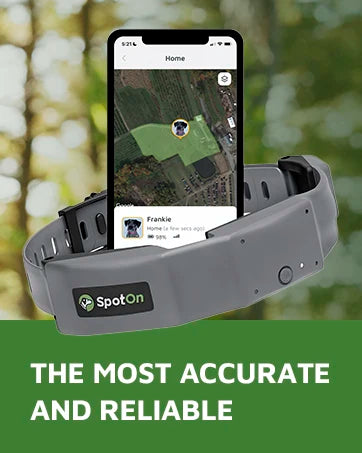 GPS Dog Fence, App Based Wireless Dog Fence Collar, Waterproof, Accurate & Reliable GPS Dog Fence