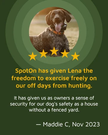 GPS Dog Fence, App Based Wireless Dog Fence Collar, Waterproof, Accurate & Reliable GPS Dog Fence